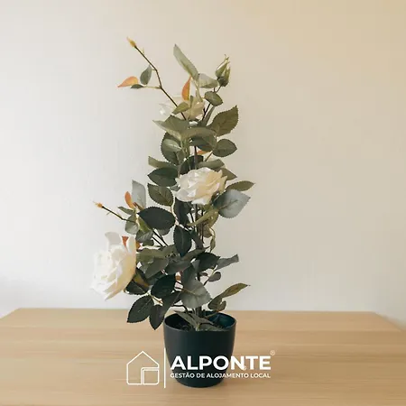 Vakantiehuis Encanto Do Lima By Alponte Ponte de Lima