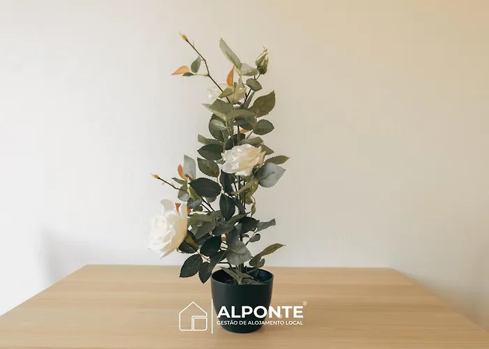 Сasa de vacaciones Encanto Do Lima By Alponte Ponte de Lima